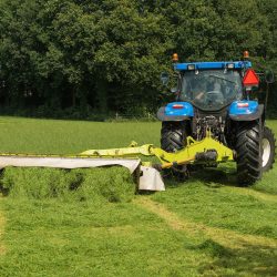 Kaszáló szárazságtűrő prémium 25kg